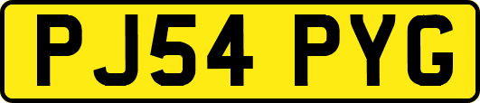 PJ54PYG