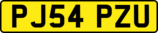 PJ54PZU
