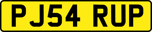 PJ54RUP