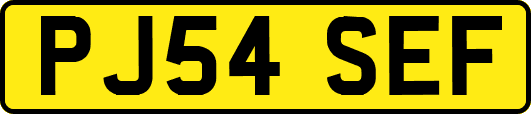 PJ54SEF