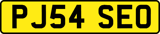 PJ54SEO