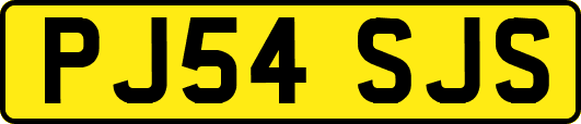 PJ54SJS