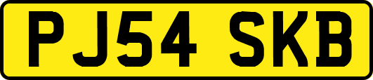PJ54SKB