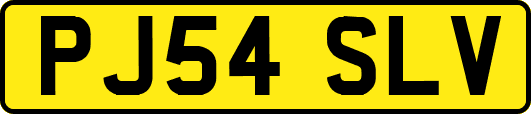 PJ54SLV