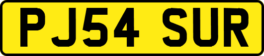 PJ54SUR