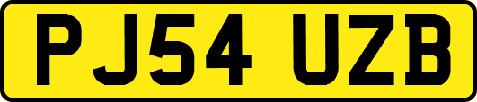 PJ54UZB