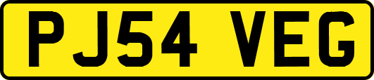 PJ54VEG