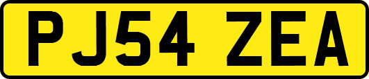 PJ54ZEA