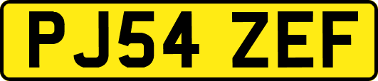 PJ54ZEF
