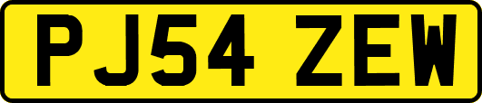 PJ54ZEW