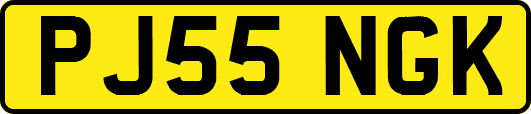 PJ55NGK