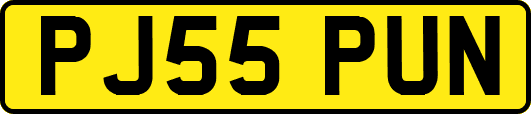 PJ55PUN