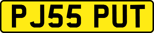 PJ55PUT
