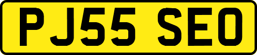 PJ55SEO