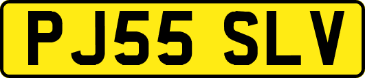 PJ55SLV