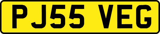 PJ55VEG