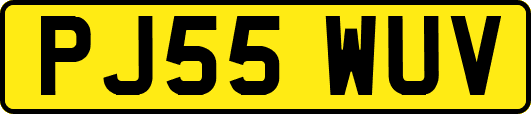 PJ55WUV
