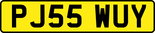 PJ55WUY