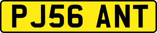 PJ56ANT