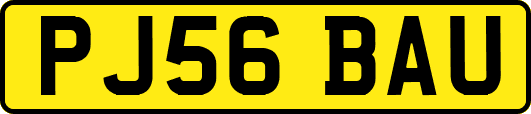 PJ56BAU
