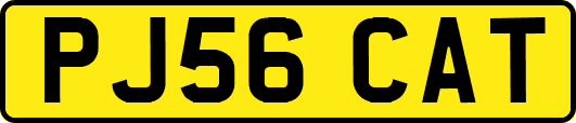 PJ56CAT