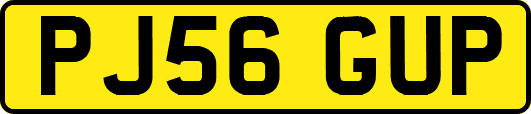PJ56GUP