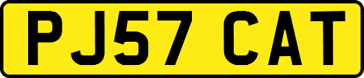 PJ57CAT