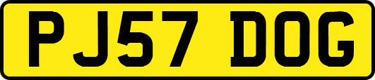 PJ57DOG