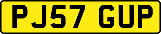 PJ57GUP