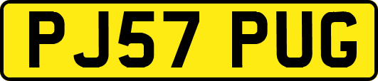 PJ57PUG