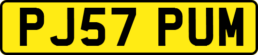 PJ57PUM