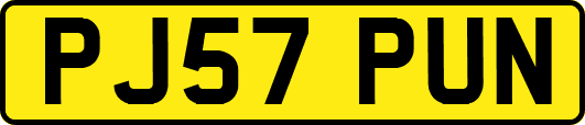 PJ57PUN