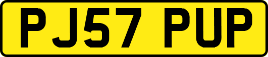 PJ57PUP