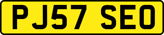 PJ57SEO