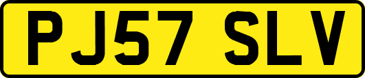 PJ57SLV