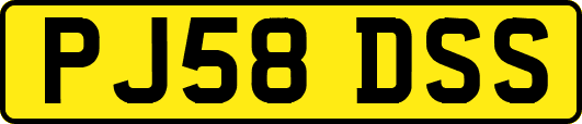 PJ58DSS