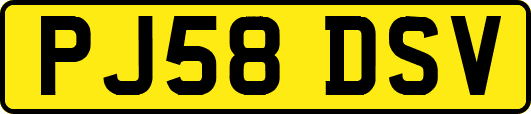 PJ58DSV