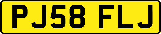PJ58FLJ