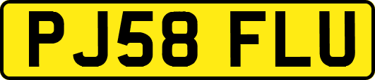 PJ58FLU