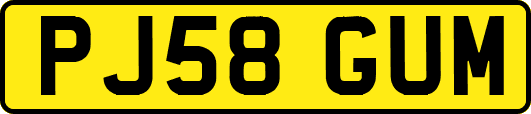 PJ58GUM