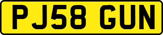 PJ58GUN