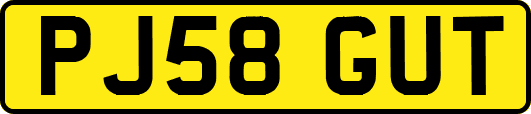 PJ58GUT
