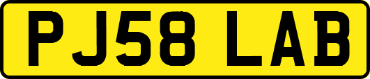 PJ58LAB