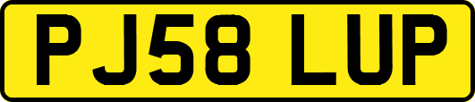 PJ58LUP