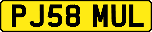 PJ58MUL