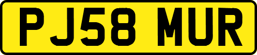 PJ58MUR