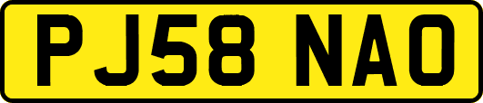 PJ58NAO