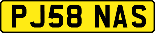 PJ58NAS