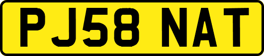 PJ58NAT