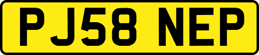 PJ58NEP